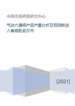 气动六通阀产品产量分析及预测新进入者威胁武汉市